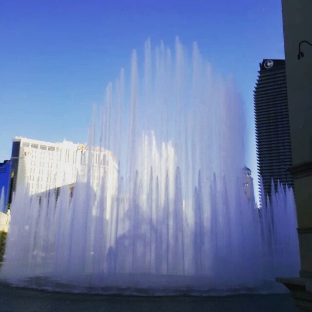 Instagram photos by Wayne Wallace