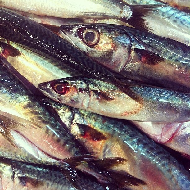 Instagram photos by Wayne Wallace