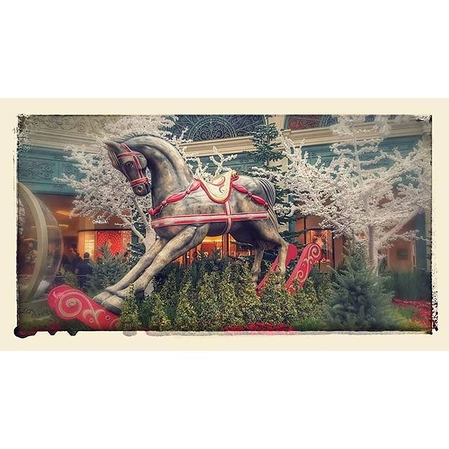 Instagram photos by Wayne Wallace