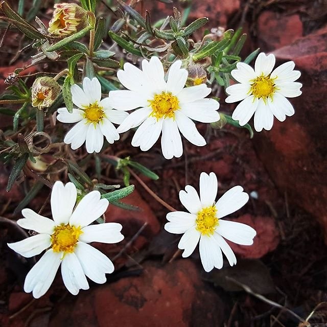 Instagram photos by Wayne Wallace