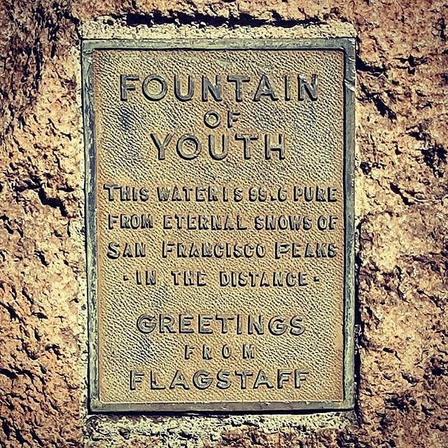 Instagram photos by Wayne Wallace