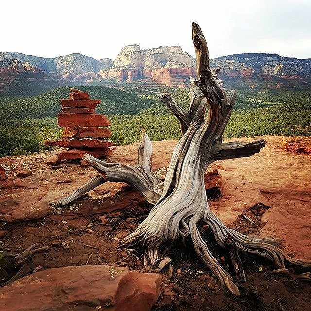 Instagram photos by Wayne Wallace