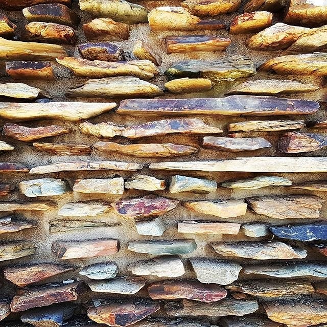 Instagram photos by Wayne Wallace