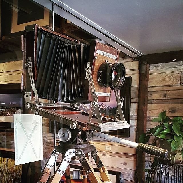 Instagram photos by Wayne Wallace