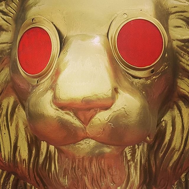 Instagram photos by Wayne Wallace