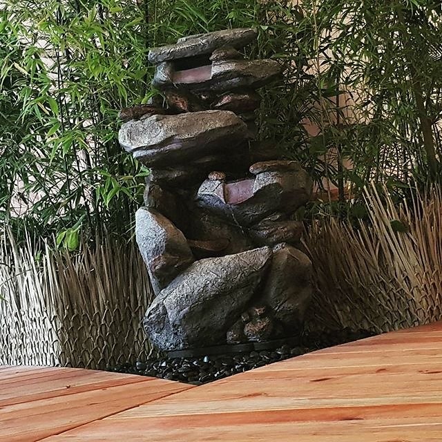 Instagram photos by Wayne Wallace