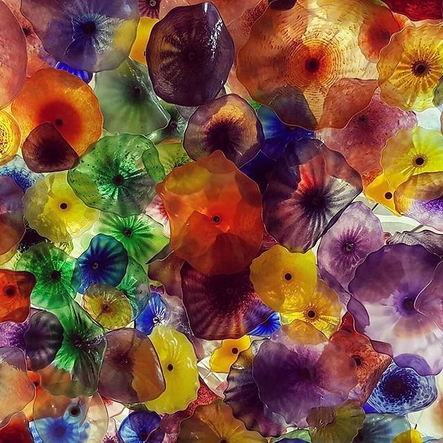 Instagram photos by Wayne Wallace