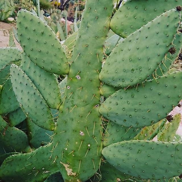 Instagram photos by Wayne Wallace