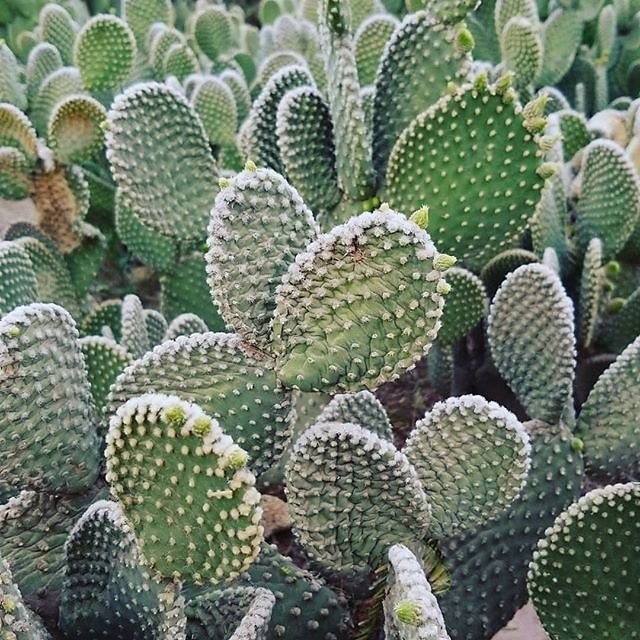 Instagram photos by Wayne Wallace