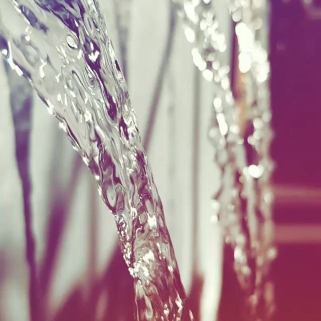 Instagram photos by Wayne Wallace