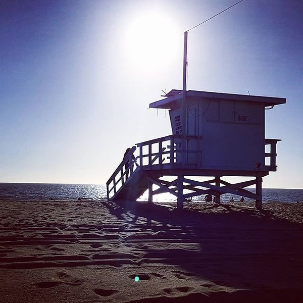 Instagram photos by Wayne Wallace