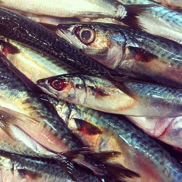 Instagram photos by Wayne Wallace