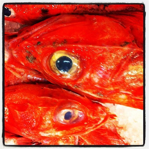 Instagram photos by Wayne Wallace
