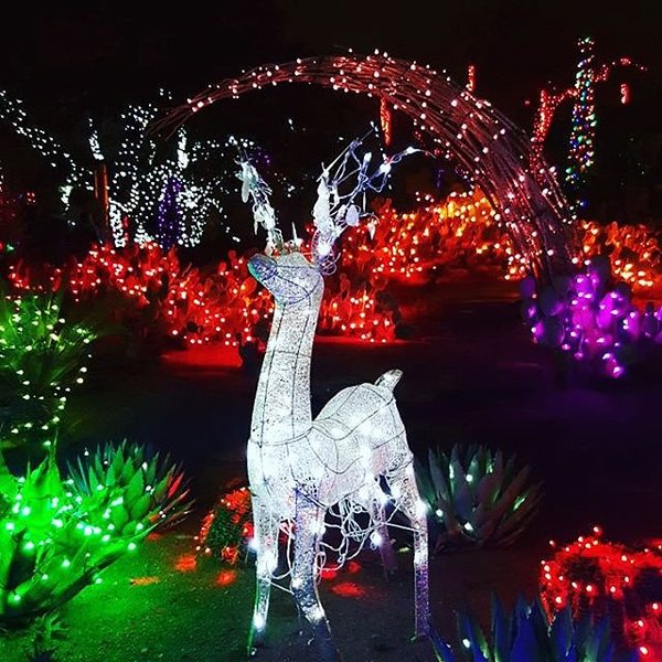 Instagram photos by Wayne Wallace
