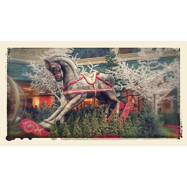 Instagram photos by Wayne Wallace