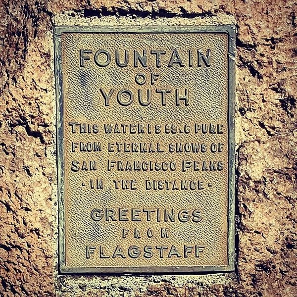 Instagram photos by Wayne Wallace