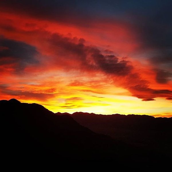 Instagram photos by Wayne Wallace