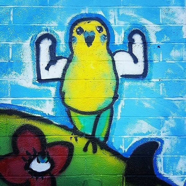 Instagram photos by Wayne Wallace