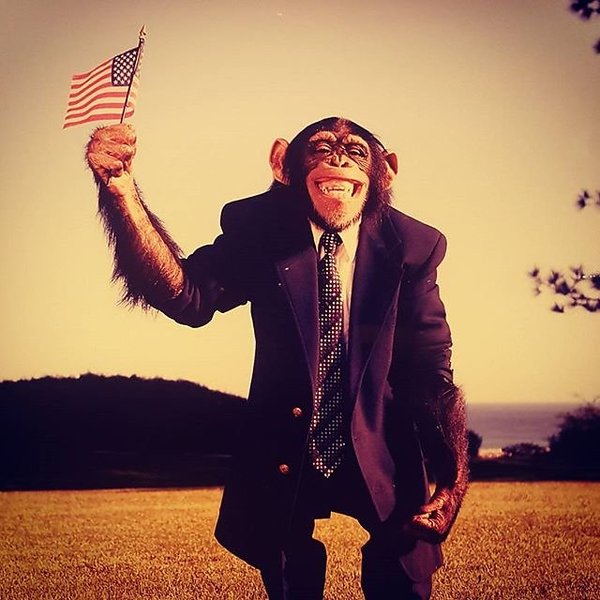 Instagram photos by Wayne Wallace
