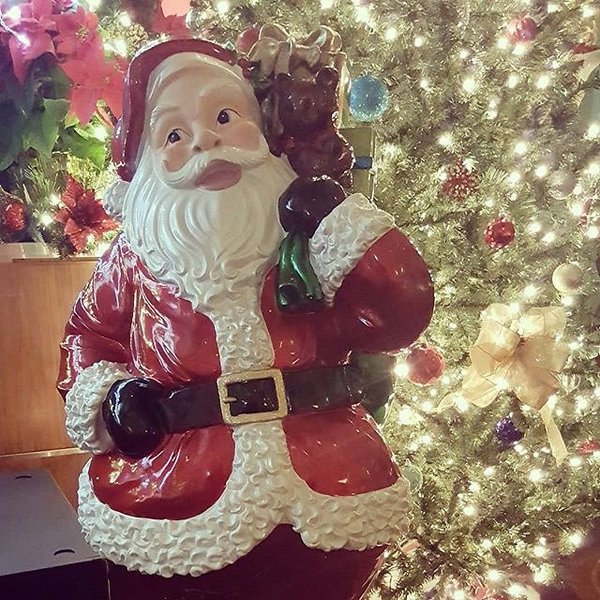 Instagram photos by Wayne Wallace