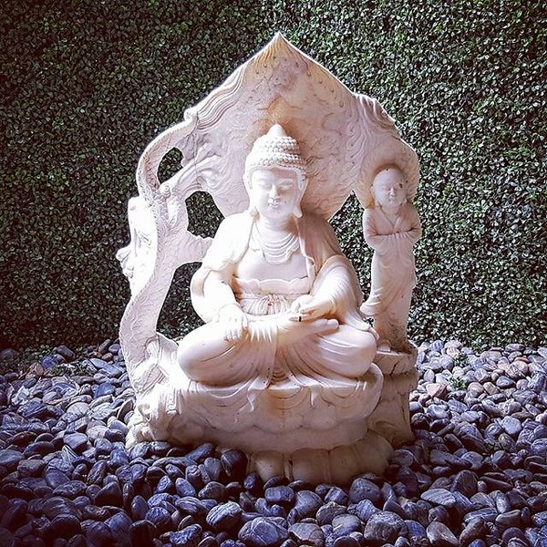 Instagram photos by Wayne Wallace