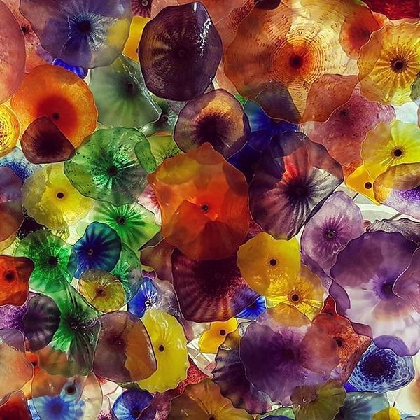 Instagram photos by Wayne Wallace