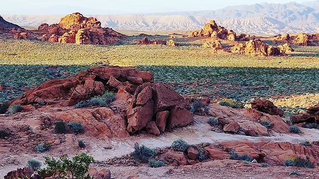 Instagram photos by Wayne Wallace