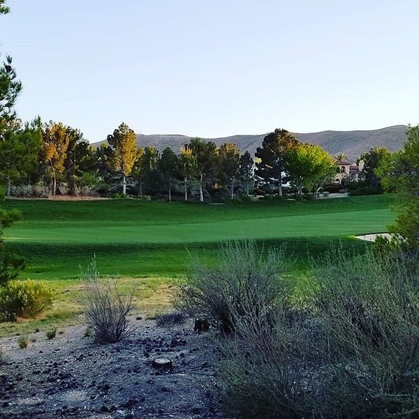 Instagram photos by Wayne Wallace