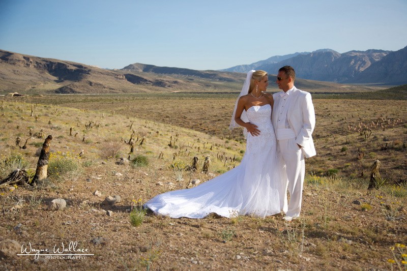 Las Vegas Wedding Jowita Mirek photography by Wayne Wallace