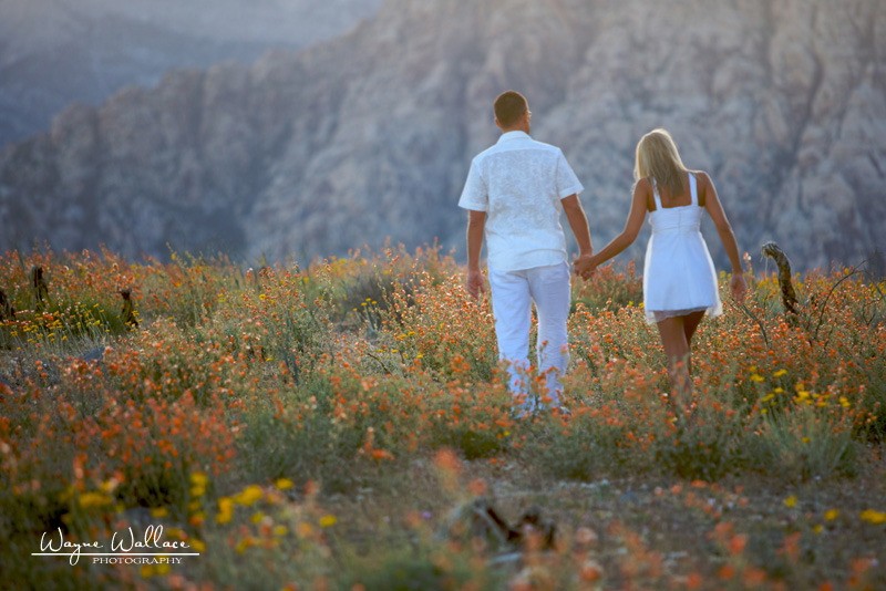 Las Vegas Wedding Jowita Mirek photography by Wayne Wallace