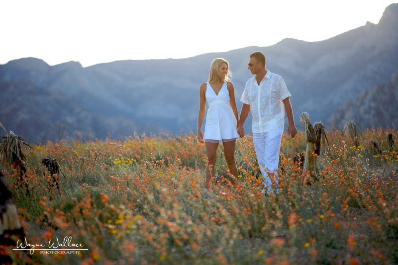 Las Vegas Wedding Jowita Mirek photography by Wayne Wallace
